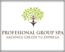 Profesional Group